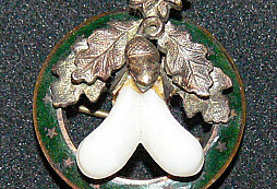 Určení odznaků čs.armády