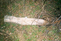 Ozdoba na skalku