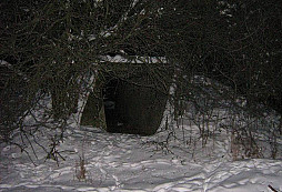 Bunker