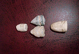 Trocha olova