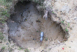 S detektorem na vltavíny