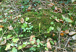 Pár vecí pre vaše oči