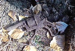 Pistolka