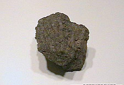 Nerast