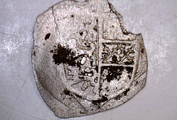 Stříbrňáček