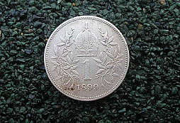 Úterní stříbrňáček a jiné drobnosti