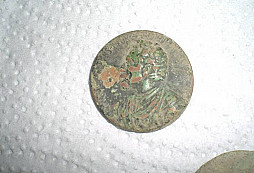 Polní drobota I.