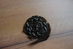 Řidič