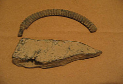 Archeo za první rok