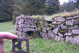 Pózoval i motýl