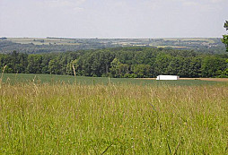 Francouzské lesy a louky