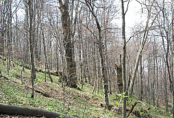 Dukla ve stínu Beskidenkorps