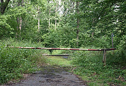 Dovolená na Mazurech II.