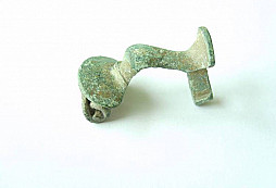 Pořád ještě rostou