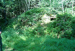 Hakl na Šumavě aneb jak to bylo