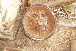 Kolečko