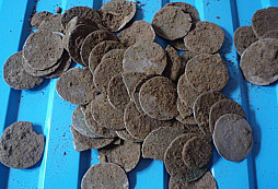 Poklad z doby Václava IV.