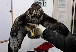 Nikdy člověk nenajde to, na co vyrazil…