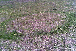 Letecká archeologie???