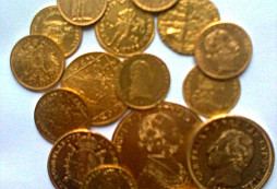 Žluťásci z Adalovi sbírky