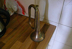 Trumpetka
