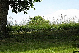 Sherman ještě neodjel…