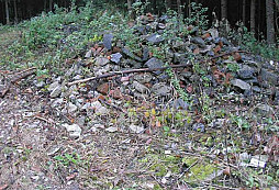 Něco málo o lesních cestách, svoznicích a trasách