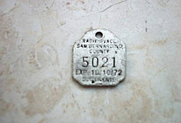 Něco pro KOČIČÁKA