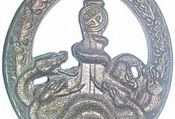 Bandenkampfabzeichen