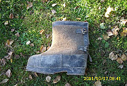 Pra-bota
