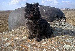 Emma - Hraničářka