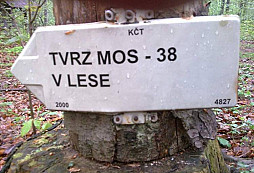 MO S - 38 v lese
