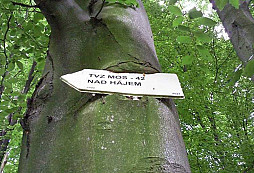 MO S - 42 Nad Hájem