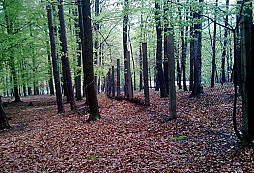 MO S - 41 Nad Valchou