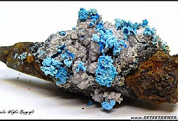 Hlásit či nehlásit?