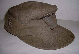 Čepice