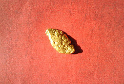 Pravý český nugget