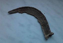 Poprvé v muzeu, aneb zelené pondělí