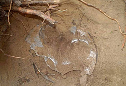 Tři bronzové depoty... (pokračování)