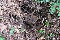 Stredoveky ostep, alebo...?