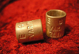 Setkali jste se s podobným kroužkem?