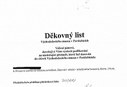 Příběh jedné "zeleniny" II.