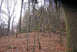 Pořádný koule