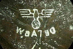 Kořistní hilzna