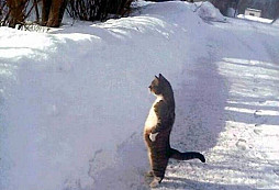 Vyhlížím netrpělivě jaro!!!