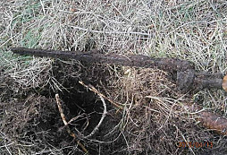 Lesní "dřina"