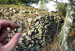 Podvečerní stříbrňáček