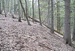 Opět v kopečcích – byl tam zas