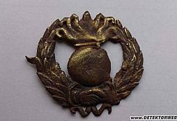 Odznak