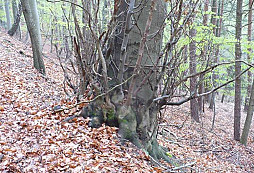 Hasič na 1.máje